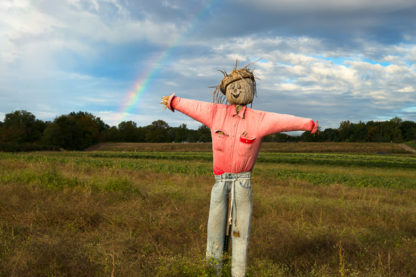 Scarecrow and the Rainbow